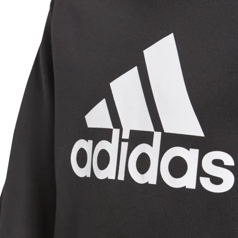 Sudadera con capucha Essentials Logo - BP8779